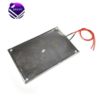 Lumineux haute température 220V 750W 210*150mm plaque de résistance électrique plat Mica plaque chauffante