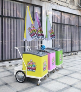 Chariot mobile le plus populaire pour le congélateur à Popsicle Food Street Food vendant des aliments surgelés sur la plage - Product Image 2