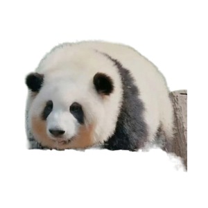 Ensemble de blocs de construction sur le thème du panda, 200-400 pièces, pour enfants de 5 à 14 ans, jouet unisexe - Product Image 1