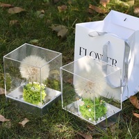 Geconserveerd paardenbloementerrarium in acryl doos - Eeuwige wens bloemendecoratie