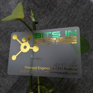 นามบัตร PVC ใสใสสำหรับเข้าชมพร้อมการพิมพ์ออฟเซตและการปั๊มผิวร้อน - Product Image 5