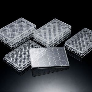 Placas de Cultivo Celular Angentech de 6/12/24/48/96 Pocillos, Material PS de Alta Transparencia, Tratadas con TC, Microplacas de Laboratorio - Product Image 1