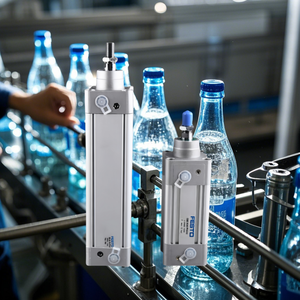 Válvula Solenoide de Metal Fundido a Presión CHIIB DNC-40-230-PPV-A 163363, M12x1.25, Diámetro 40mm, Recorrido 230mm, PPV Ajustable - Product Image 3