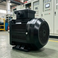Moteur synchrone à aimants permanents triphasé Enneng AC pour moto électrique 3000W, contrôle vectoriel à fréquence variable