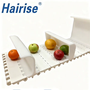 Hairise Plastic Modulaire Band Fruittransportband POM Platte Top Antislip Modulaire Ketting, 50,8 mm Pitch - Product Image 1