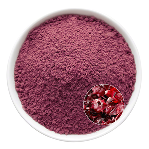 Roselle toz ekstresi | <span class=keywords><strong>Hibiscus</strong></span> <span class=keywords><strong>Sabdariffa</strong></span> Calyces itibaren dondurularak kurutulmuş | Antosiyaninler açısından zengin - Product Image 1