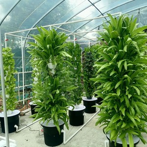 Colonnes et tours verticales hydroponiques pour la culture de légumes - Système de culture hors sol entièrement automatique avec arrosage par pluie 7 La - Product Image 1