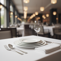 Assiette en Porcelaine Fine Style Américain 8, 10.5, 12 Pouces, Logo Personnalisé OEM, 40% Cendres d'Os, Sans Plomb, Sans Cadmium, Pour Restaurants et Hôtels