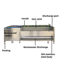 Automatische wortelborstelwasser-schilmachine voor voedselverwerkingsbedrijven, keukens, gember, cassave en zoete aardappel.