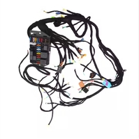 Faisceau de câblage automobile personnalisé 4L60E LS Moteur autonome DBC GM 4.8L 5.3L 6.0L 97-06 Compatible LS1 Swap