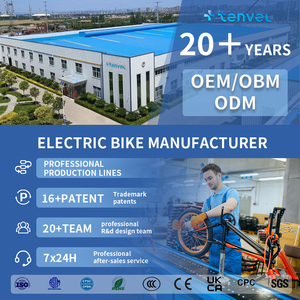 16 pollici bellissimo acciaio elettrico città bicicletta fabbrica di lancio più recente 36V batteria al litio pieghevole EBike sensore elettronico - Product Image 6
