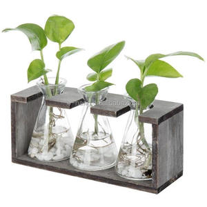 Vases hydroponiques en verre <span class=keywords><strong>avec</strong></span> support en <span class=keywords><strong>bois</strong></span> rétro, 3 béchers en verre, 2026 - Product Image 1
