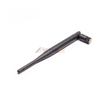 Antenne externe 2,4 GHz (type canard en caoutchouc) avec connexion RP-SMA.