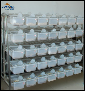 Étagère professionnelle en acier inoxydable <span class=keywords><strong>pour</strong></span> élevage de <span class=keywords><strong>rat</strong></span> ou souris, support <span class=keywords><strong>pour</strong></span> éclairage avec bouteille d'eau, adapté au laboratoire - Product Image 4