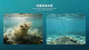 Bacterias EM en Polvo para Acuicultura |   Probióticos de Fermentación a Baja Temperatura para el Tratamiento de Agua en Estanques de Peces y Camarones - Product Image 2