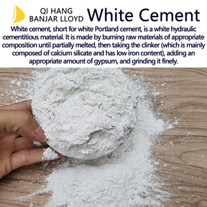 Cemento Portland Blanco de Alta Calidad, Buena Marca, Diseño Moderno, Resistente a los Ácidos y de Baja Emisión de Calor - Product Image 3