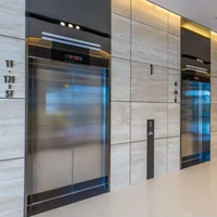 Ascenseur de qualité supérieure pour appartements, traction sans engrenage, entraînement AC, plancher en PVC, design moderne, sans salle de machine