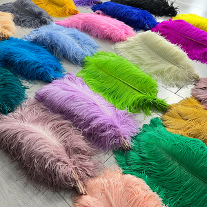 Plumas de Avestruz Auténticas Teñidas al por Mayor de Sudáfrica, Plumas Grandes y Esponjosas, Plumas de Avestruz Esponjosas - Product Image 4