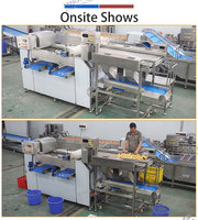 Automatische aardappelverwerkingslijn: aardappelvoeding, schillen, wassen, drogen, sorteren, machine, op maat gemaakte installatie, 0,5-1T/H, hoge capaciteit