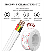100M/Rolle AS/NZS Standard PVC-isoliertes 0,75mm 1mm 1,5mm 2,5mm 4mm 6mm 10mm 3-adriges Elektrisches Flexibles Flachkabel
