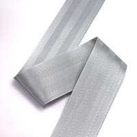 Offre Spéciale polyester matériel ceinture de randonnée solide couleur argent solide non élastique accepter sangle de sécurité personnalisée