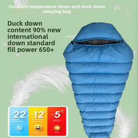 Sac de couchage confortable de type momie en nylon blanc 90% pour adultes, camping en plein air, portable, chaud, hiver, ultraléger, par temps froid