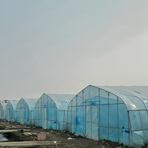 Landbouwkas voor tomaten en aardbeien, enkelspan, speciaal voor PE/PO-kassen, plastic folie kas - Product Image 3