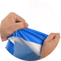 Bâche bleue Pe Tarpaulin 10X20 Bâches Rouleaux Bâches 200 Gsm