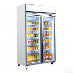 Réfrigérateur commercial à double porte avec compresseur monté en haut, réfrigérateur vertical pour boissons - Product Image 3