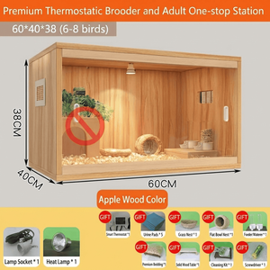 Yalıtımlı, Kolay Temizlenen Büyük Ahşap Civciv Kafesi (Bıldırcın Civcivleri, Hamsterler İçin) Çoklu Boyutlarda - Product Image 6