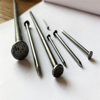 1-6Inch Q195 Q235 Dipoles Umum Besi Paku Kayu Kuku Pabrik Harga Rendah