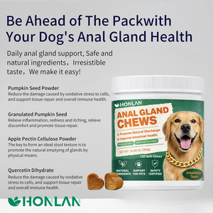 Golosinas Masticables Suaves para Glándulas Anales con Semillas de Calabaza, Enzimas Digestivas, Probióticos y Suplemento de Fibra para Perros Grandes (Veterinario) - Product Image 2