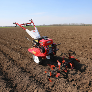 JINKE Mini Tiller <b>Cultivator</b> | Diesel Farm Tiller for Soil Loosening, Weeding & Intertillage in Small Farms CE - Product Image 1