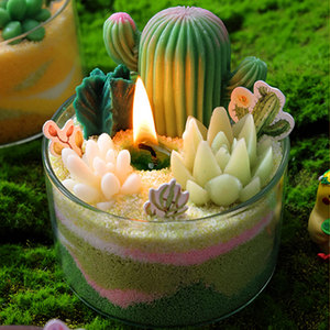 Cây Xương Rồng Tự làm nến làm <span class=keywords><strong>Kit</strong></span> Đồ chơi giáo dục với cây xương rồng màu nến viên bông bấc lọ thủy tinh - Product Image 4