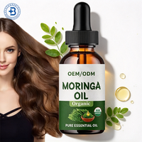 Huile de Moringa Liquide OEM Marque Privée, Extrait Herbal Naturel de Feuilles de Molène, Gouttes de Complément à Base de Feuilles, Huile de Moringa pour la Croissance Capillaire
