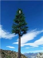 Thân thiện với môi <span class=keywords><strong>Bionic</strong></span> thông tháp nhúng nóng mạ kẽm Tùy chỉnh màu thép xây dựng cho cảnh quan Hiện Đại (20-50 năm - Product Image 2