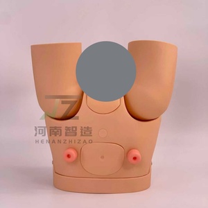 Nuevo Modelo de Cateterismo Masculino y Femenino, Modelo de Enseñanza y Entrenamiento Médico - Product Image 3