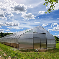 Serre tunnel agricole haute performance en acier galvanisé avec film plastique pour la culture de tomates, laitues et poivrons
