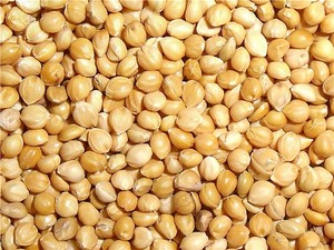<span class=keywords><strong>Millet</strong></span> blanc avec le prix le moins cher <span class=keywords><strong>Millet</strong></span> blanc gluant chinois - Product Image 3