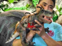 Boneka Tangan Dinosaurus Mini Raptor Berbulu Lucu Realistis, Mulut Dapat Dibuka Tutup dengan Suara, Interaktif untuk Dalam Ruangan