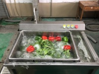 WASC-10 Commerciële Groente- en Fruitwasmachine met Motor, 304 RVS, 220V, 200-300kg/u capaciteit, CE-gecertificeerd