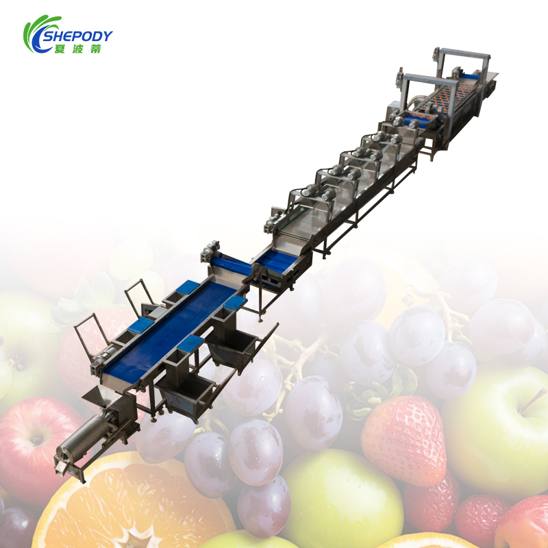 Industrial Fruit Washing Sorting Line Multi