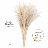 UKIQUEEN Herbe de la Pampa miniature stabilisée, petites fleurs de roseau pour arrangements de mariage bohème, décoration de vase à domicile et artisanat