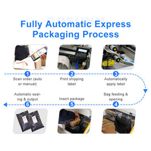 Máquina Automática para Embolsado, Impresión, Etiquetado y Empaquetado de Bolsas de Correo para Logística de Comercio Electrónico - Product Image 2
