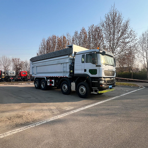 Camion benne SINOTRUK HOWO TX 8x4 haute puissance pour le transport de minerai de cobalt au Congo sur chantier et tout-terrain - Product Image 4