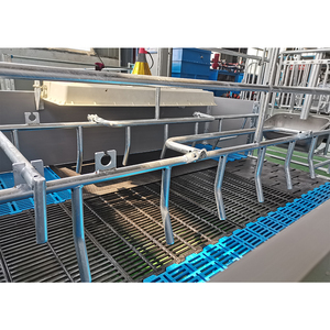HENGYIN HY-AFS Jaula para Cerdas de Acero Galvanizado en Caliente con Nuevo Diseño de Barra Antipresión Cómoda y Antiaplastamiento para Granjas de Cerdos, Precio de Fábrica, Certificación CE - Product Image 3