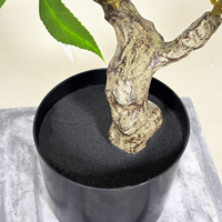 Arbre artificiel de Pieris vert haute simulation de 70 cm, plantes artificielles de type bonsaï pour la décoration intérieure de la maison et du bureau