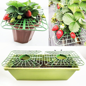 Supports de culture de fraises OEM DD3185 – Treillis de maintien pour garder les baies propres – Supports carrés pour plantes - Product Image 6