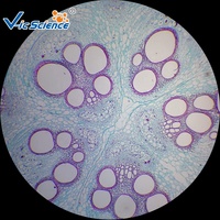 100pcs Glass Plant Tissue Prepared Microscope Slides Botany Specimen Lab Tool for Biology Teaching & Experiment