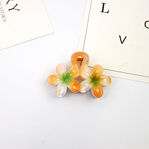 กิ๊บติดผมชายหาดฤดูร้อน สีลูกกวาดไล่เฉดสี ลายดอกไม้และลายฉลาม - Product Image 4